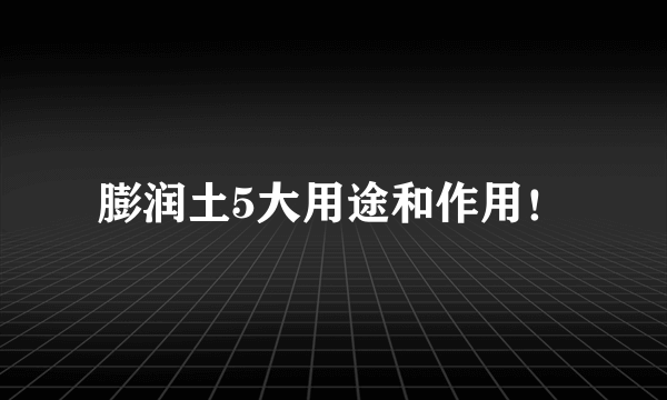 膨润土5大用途和作用！