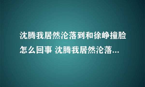 沈腾我居然沦落到和徐峥撞脸怎么回事 沈腾我居然沦落到和徐峥撞脸是什么梗