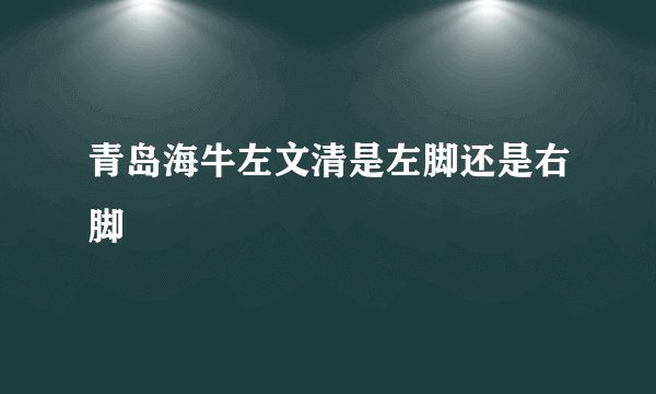 青岛海牛左文清是左脚还是右脚