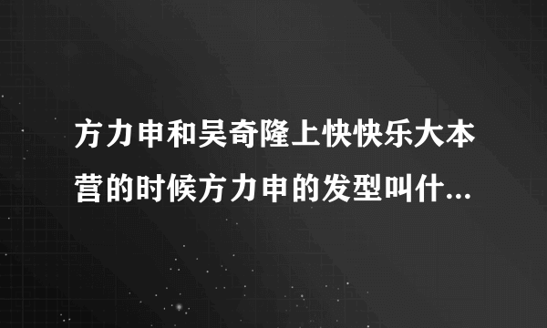 方力申和吴奇隆上快快乐大本营的时候方力申的发型叫什么名字？