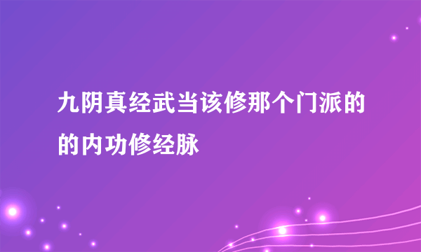 九阴真经武当该修那个门派的的内功修经脉