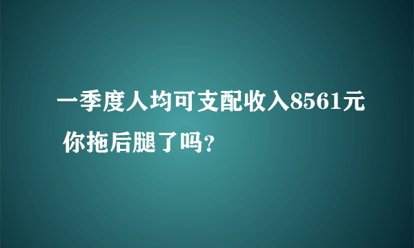 一季度人均可支配收入8561元 你拖后腿了吗？