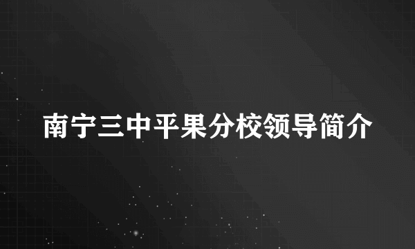 南宁三中平果分校领导简介