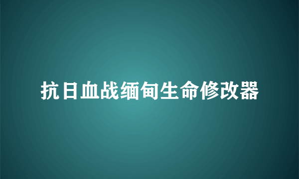 抗日血战缅甸生命修改器