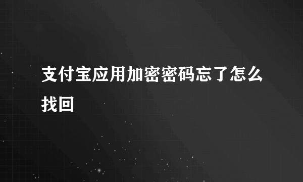 支付宝应用加密密码忘了怎么找回