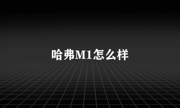 哈弗M1怎么样