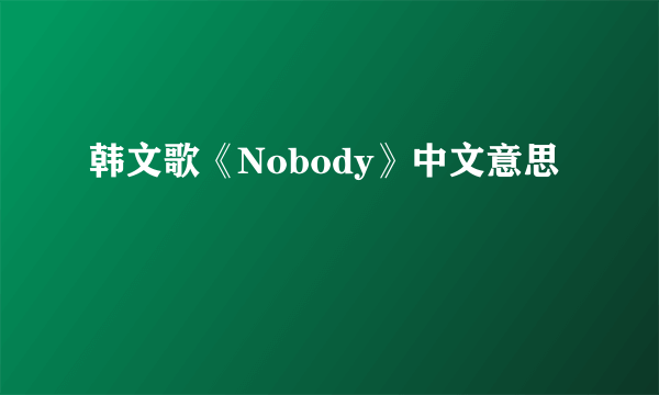 韩文歌《Nobody》中文意思