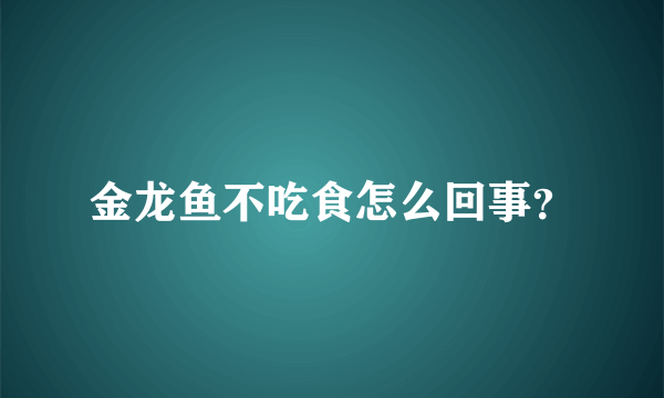 金龙鱼不吃食怎么回事？