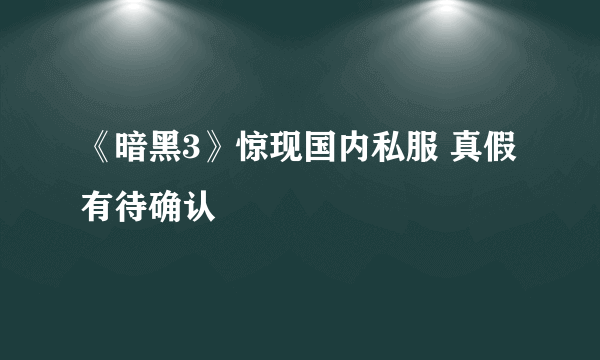 《暗黑3》惊现国内私服 真假有待确认