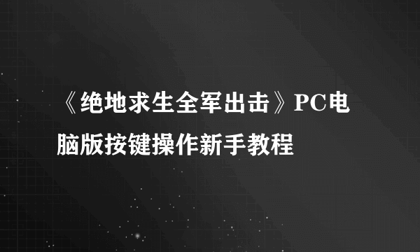 《绝地求生全军出击》PC电脑版按键操作新手教程