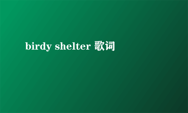 birdy shelter 歌词