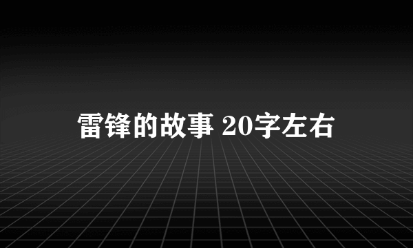 雷锋的故事 20字左右