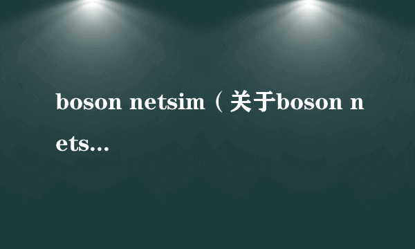 boson netsim（关于boson netsim的介绍）