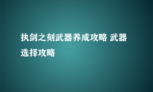 执剑之刻武器养成攻略 武器选择攻略