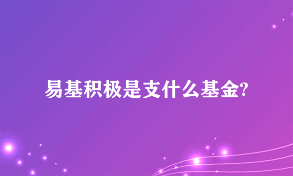 易基积极是支什么基金?