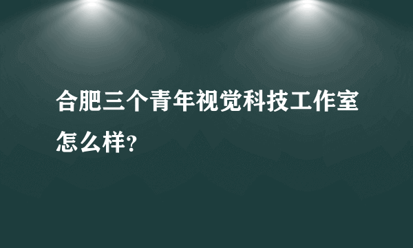 合肥三个青年视觉科技工作室怎么样？