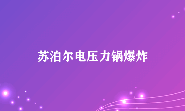 苏泊尔电压力锅爆炸