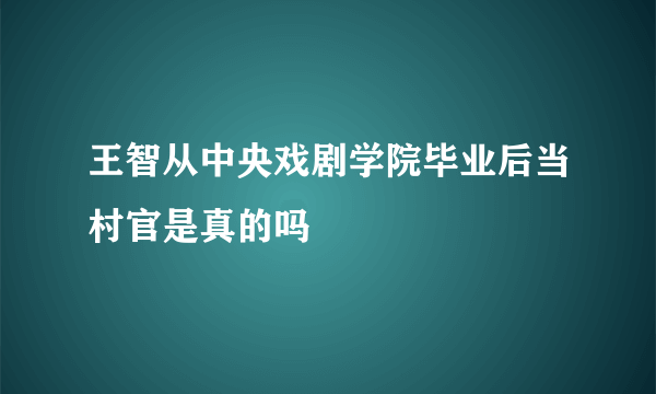 王智从中央戏剧学院毕业后当村官是真的吗