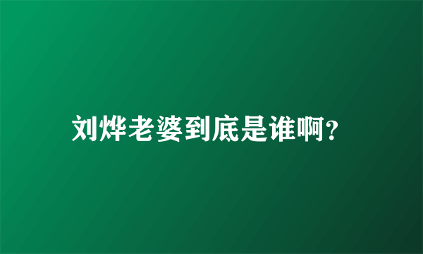 刘烨老婆到底是谁啊？