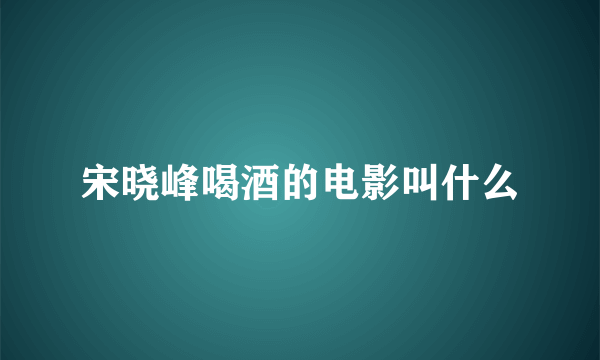 宋晓峰喝酒的电影叫什么