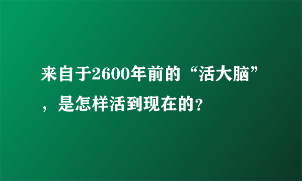 来自于2600年前的“活大脑”，是怎样活到现在的？