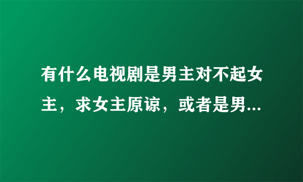 有什么电视剧是男主对不起女主，求女主原谅，或者是男主和女主吵架，男主低声下气哄女主的电视剧或电影。