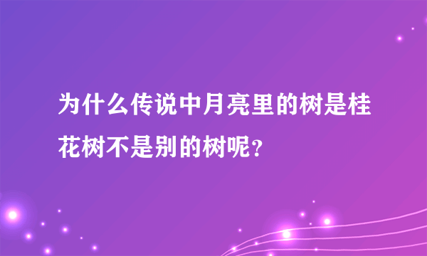 为什么传说中月亮里的树是桂花树不是别的树呢？