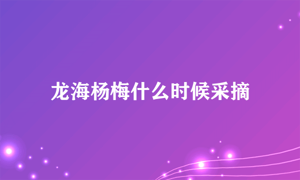 龙海杨梅什么时候采摘