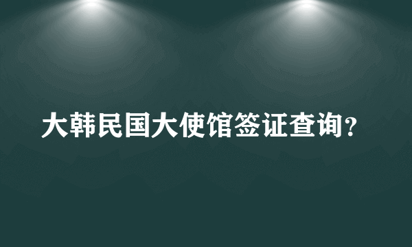 大韩民国大使馆签证查询？