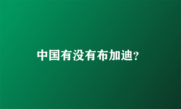 中国有没有布加迪？