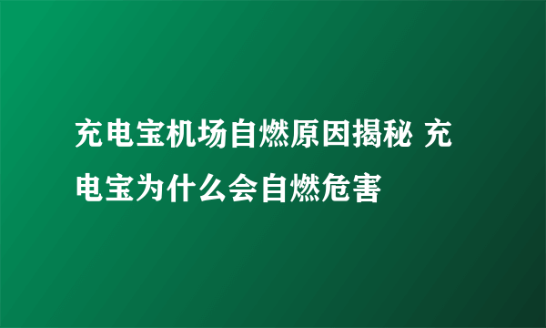 充电宝机场自燃原因揭秘 充电宝为什么会自燃危害