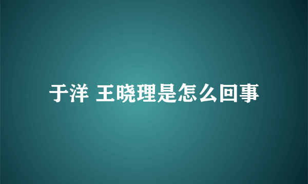 于洋 王晓理是怎么回事