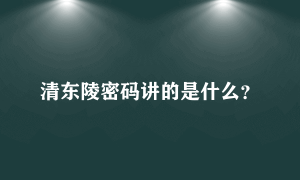 清东陵密码讲的是什么？