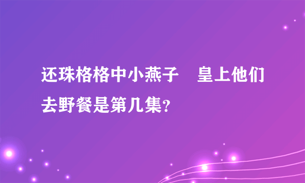 还珠格格中小燕子﹑皇上他们去野餐是第几集？