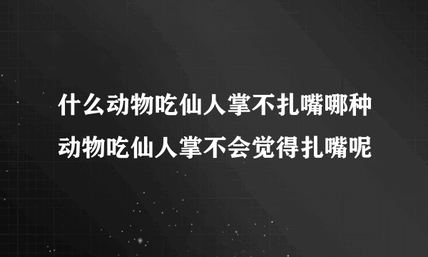 什么动物吃仙人掌不扎嘴哪种动物吃仙人掌不会觉得扎嘴呢