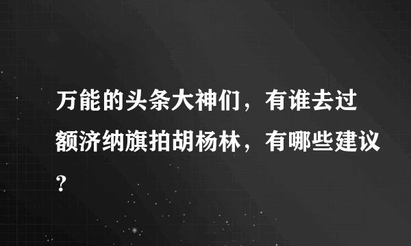 万能的头条大神们，有谁去过额济纳旗拍胡杨林，有哪些建议？