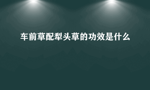 车前草配犁头草的功效是什么