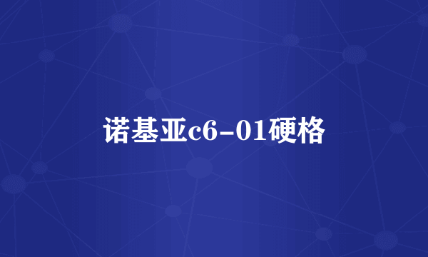 诺基亚c6-01硬格