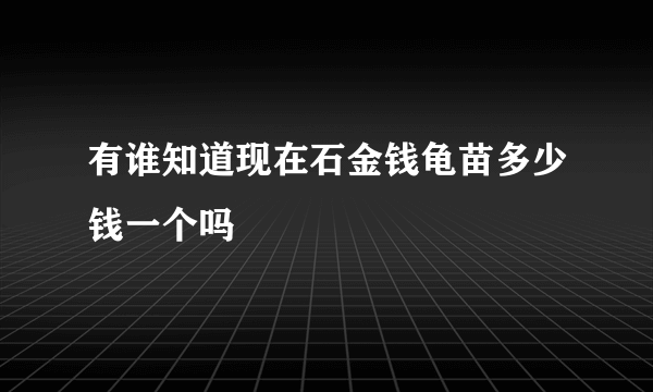 有谁知道现在石金钱龟苗多少钱一个吗