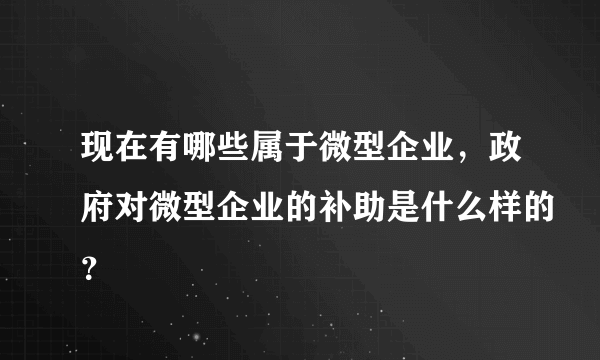 现在有哪些属于微型企业，政府对微型企业的补助是什么样的？