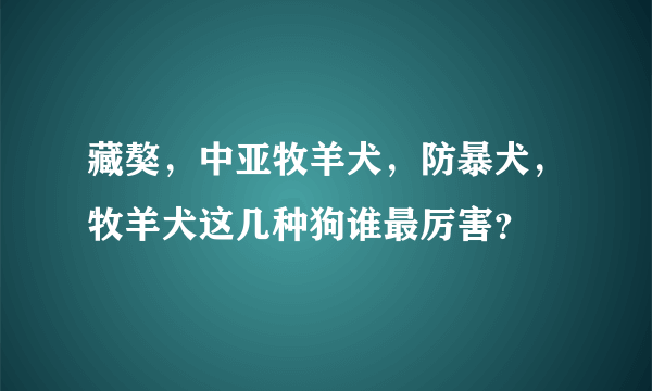 藏獒，中亚牧羊犬，防暴犬，牧羊犬这几种狗谁最厉害？