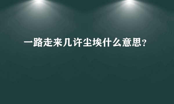 一路走来几许尘埃什么意思？