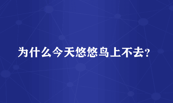 为什么今天悠悠鸟上不去？