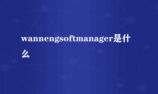 wannengsoftmanager是什么