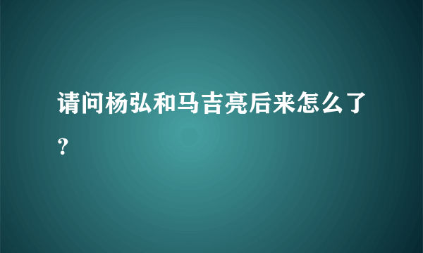 请问杨弘和马吉亮后来怎么了？