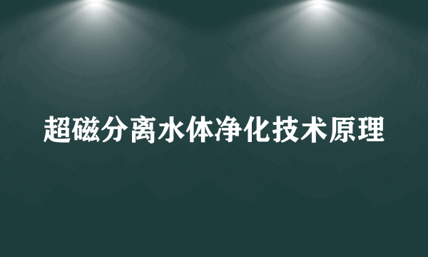 超磁分离水体净化技术原理