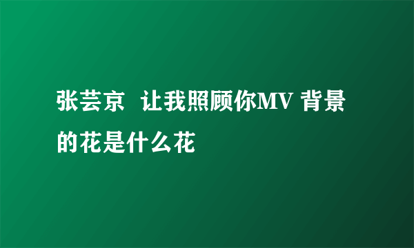 张芸京  让我照顾你MV 背景的花是什么花