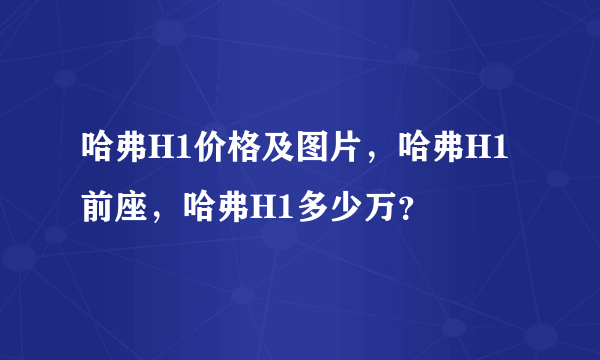 哈弗H1价格及图片，哈弗H1前座，哈弗H1多少万？