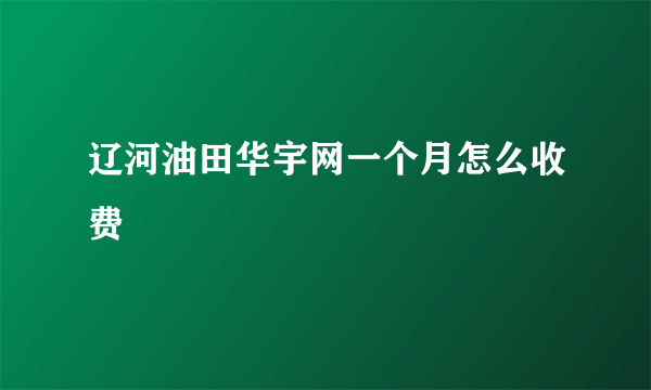 辽河油田华宇网一个月怎么收费