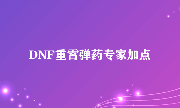 DNF重霄弹药专家加点